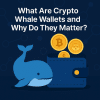 How To Find Crypto Whale Wallets To Copy Trade Or Track
