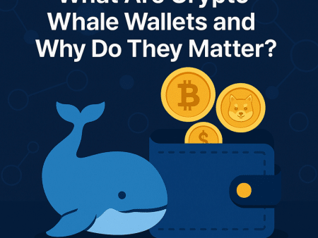 How To Find Crypto Whale Wallets To Copy Trade Or Track